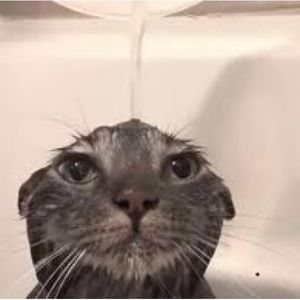 Meet your Posher, Alejandra